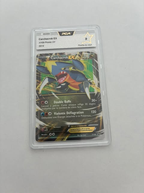 Carchacrok ex XY09