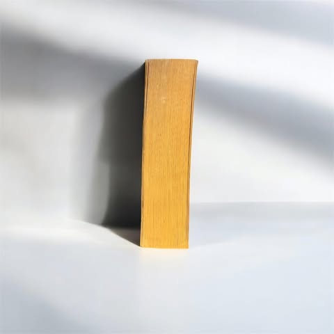 Hesitation - Stephenie Meyer (Occasion)