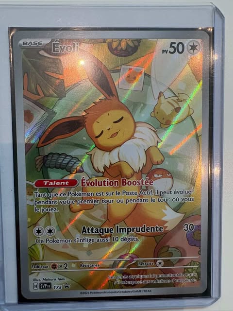 Evoli 173
