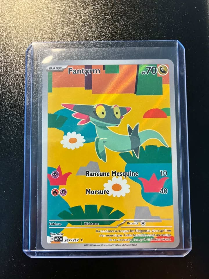 Fantyrm 247/217