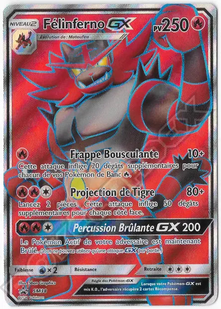 Félinferno GX SM38 - Jumbo
