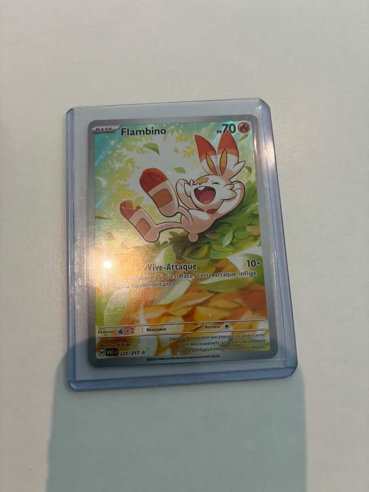 Flambino 225/217