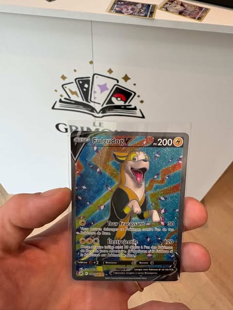 Fulgudog V 249/264