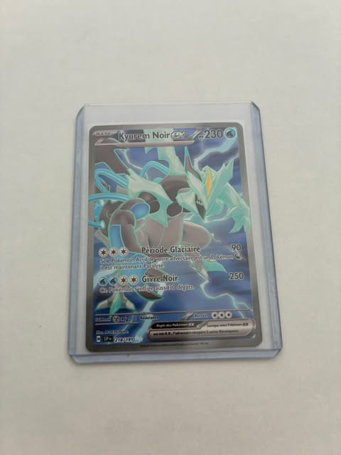 Kyurem Noir ex 218/191