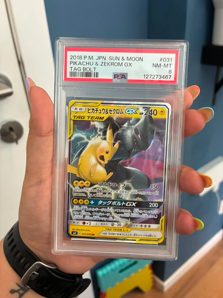Pikachu & Zekrom GX 031/095