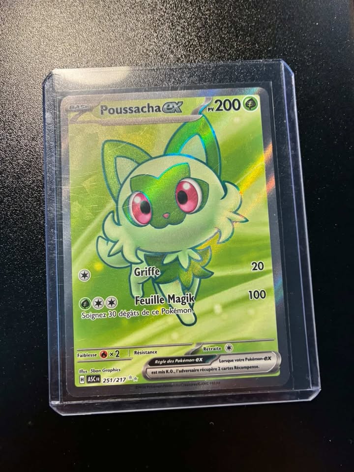 Poussacha EX 251/217