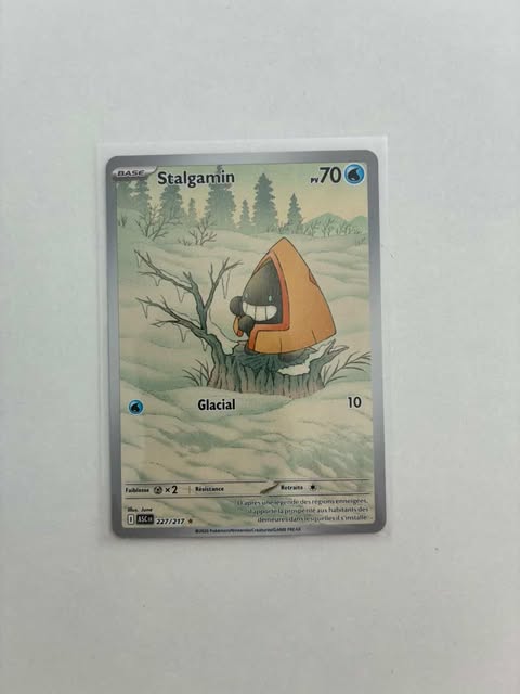 Stalgamin 227/217