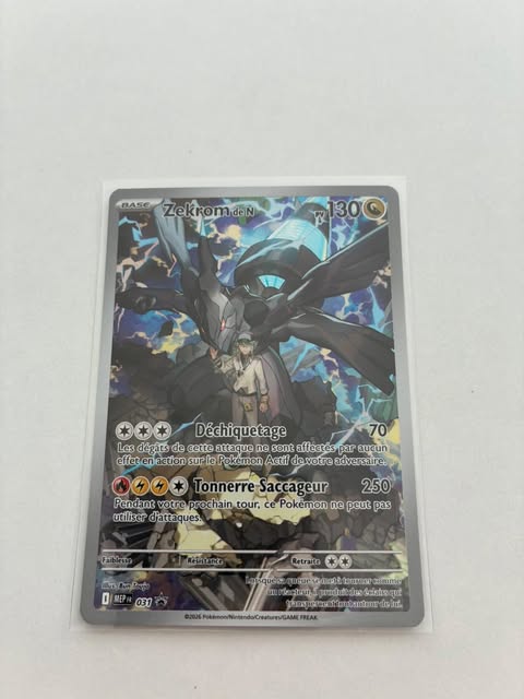 Zekrom de N 031